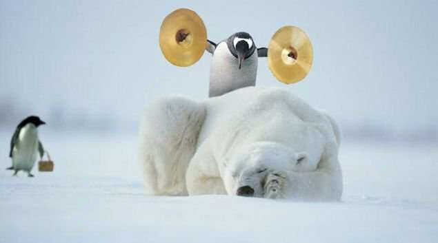 penguin-polar-bear-symbols.jpg